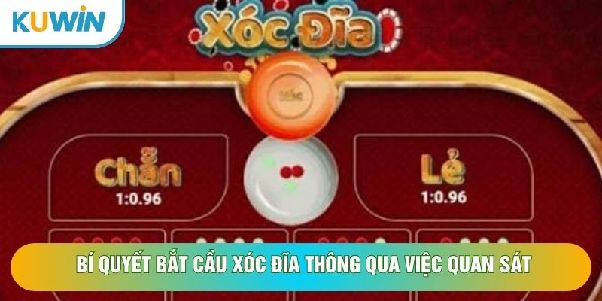 Bắt Cầu Sóc Đĩa Chuẩn Tại KUWIN – Đọc Chuỗi Kết Quả, Nhận Diện Nhịp Cầu