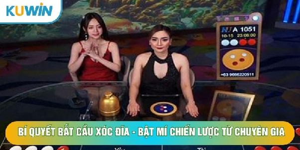 Bắt Cầu Sóc Đĩa Chuẩn Tại KUWIN – Đọc Chuỗi Kết Quả, Nhận Diện Nhịp Cầu