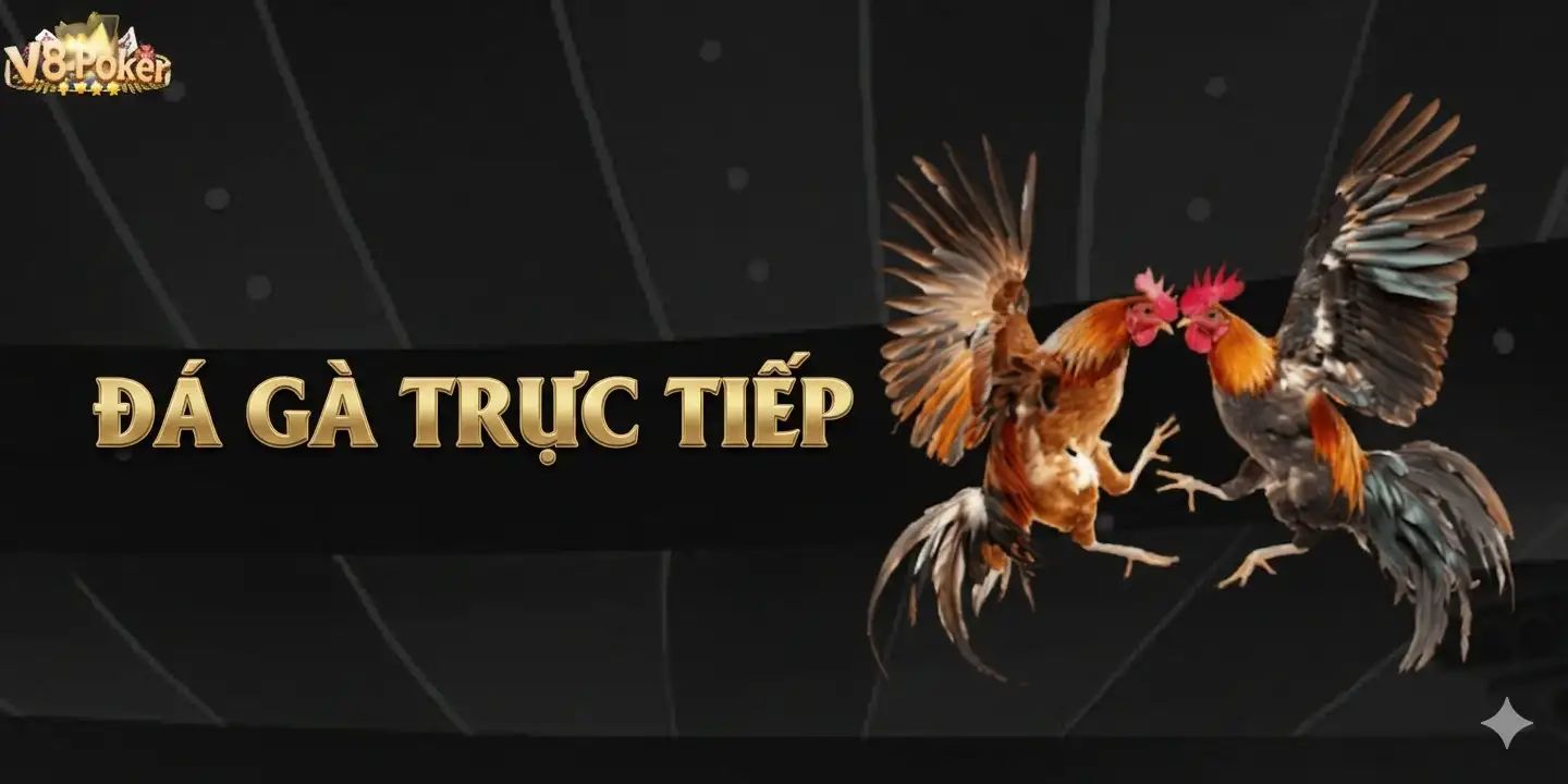 Hướng dẫn đăng ký V8poker - Thưởng đăng ký cho tân thủ 99K Hướng dẫn đăng ký V8poker - Thưởng đăng ký cho tân thủ 99K