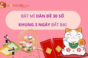 Phương pháp nuôi dàn đề 30 số khung 3 ngày bất bại từ Tấn Bình