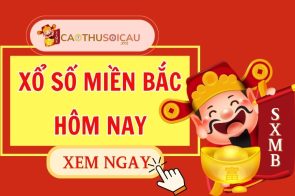 Tấn Bình Soi Cầu Dự Đoán Xổ Số Miền Bắc Ngày 03/10/2025
