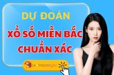 Tấn Bình Soi Cầu Dự Đoán Xổ Số Miền Bắc Ngày 21/11/2025