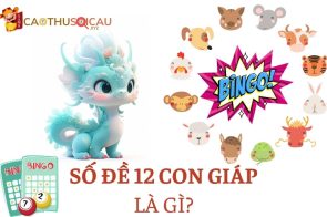 Tấn Bình Bật Mí Cách Soi Cầu 12 Con Giáp Trong Lô Đề Trúng Lớn