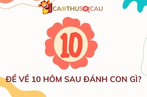 Tấn Bình soi cầu giải đáp: Đề về 10 hôm sau đánh con gì?